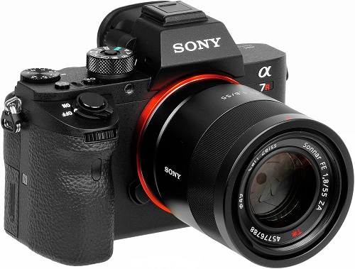 Chi tiền cho Nikon D5 hay Sony A7R II?