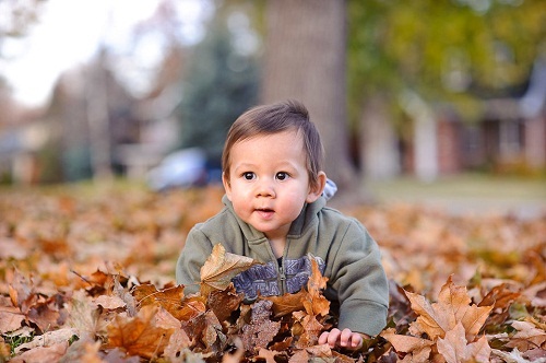 Bức tranh toàn cảnh về Bokeh