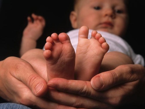 Chìa khóa để chụp ảnh người và thú cưng đẹp nhất