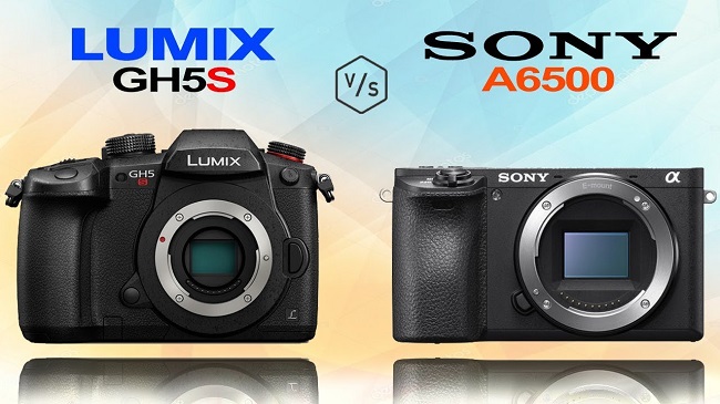 So sánh Panasonic GH5s và Sony A6500