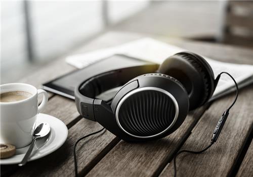 Tai Nghe Sennheiser HD 461G