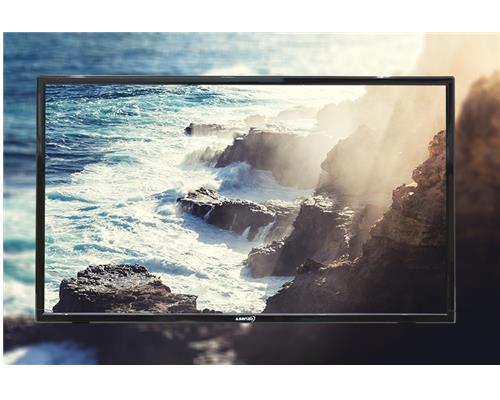 Tivi ASANZO 25T350 (Full HD, 25 inch)